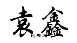胡问遂袁鑫行书个性签名怎么写