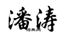 胡问遂潘涛行书个性签名怎么写