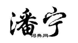 胡问遂潘宁行书个性签名怎么写