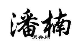 胡问遂潘楠行书个性签名怎么写