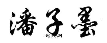 胡问遂潘子墨行书个性签名怎么写
