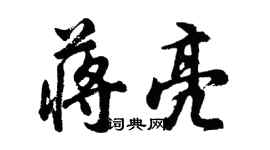 胡问遂蒋亮行书个性签名怎么写
