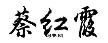 胡问遂蔡红霞行书个性签名怎么写