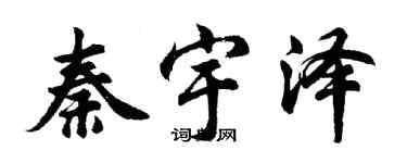 胡问遂秦宇泽行书个性签名怎么写