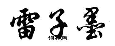 胡问遂雷子墨行书个性签名怎么写