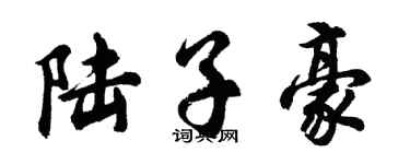 胡问遂陆子豪行书个性签名怎么写