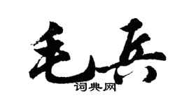 胡问遂毛兵行书个性签名怎么写