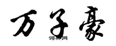 胡问遂万子豪行书个性签名怎么写