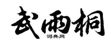 胡问遂武雨桐行书个性签名怎么写