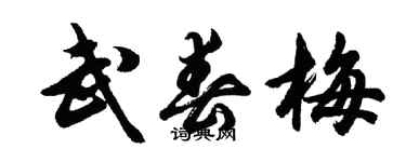 胡问遂武春梅行书个性签名怎么写