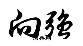 胡问遂向强行书个性签名怎么写