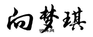 胡问遂向梦琪行书个性签名怎么写