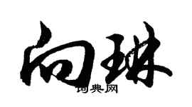 胡问遂向琳行书个性签名怎么写