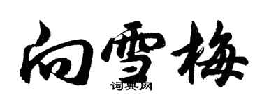 胡问遂向雪梅行书个性签名怎么写