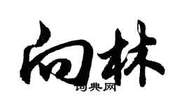 胡问遂向林行书个性签名怎么写