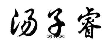 胡问遂汤子睿行书个性签名怎么写