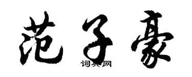 胡问遂范子豪行书个性签名怎么写