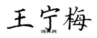 丁谦王宁梅楷书个性签名怎么写