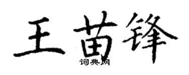 丁谦王苗锋楷书个性签名怎么写