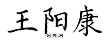 丁谦王阳康楷书个性签名怎么写