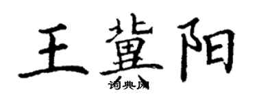 丁谦王冀阳楷书个性签名怎么写
