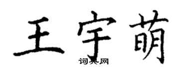 丁谦王宇萌楷书个性签名怎么写