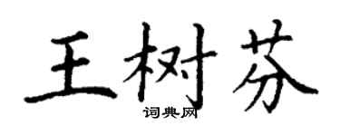 丁谦王树芬楷书个性签名怎么写