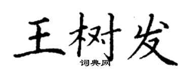 丁谦王树发楷书个性签名怎么写