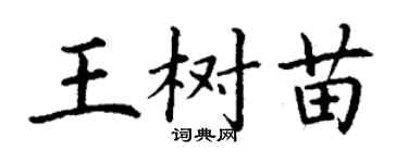 丁谦王树苗楷书个性签名怎么写