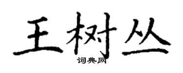 丁谦王树丛楷书个性签名怎么写