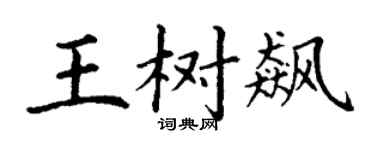 丁谦王树飙楷书个性签名怎么写