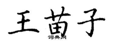丁谦王苗子楷书个性签名怎么写