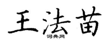 丁谦王法苗楷书个性签名怎么写