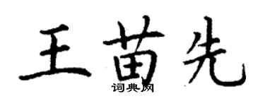 丁谦王苗先楷书个性签名怎么写