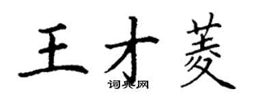 丁谦王才菱楷书个性签名怎么写