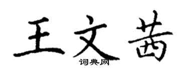 丁谦王文茜楷书个性签名怎么写
