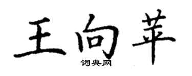 丁谦王向苹楷书个性签名怎么写
