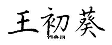 丁谦王初葵楷书个性签名怎么写