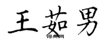 丁谦王茹男楷书个性签名怎么写