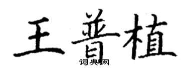丁谦王普植楷书个性签名怎么写