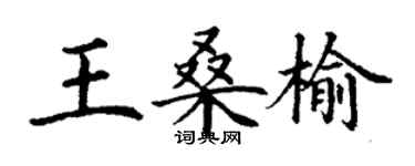 丁谦王桑榆楷书个性签名怎么写