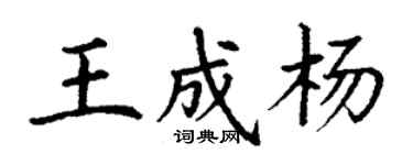 丁谦王成杨楷书个性签名怎么写