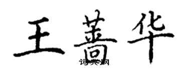 丁谦王蔷华楷书个性签名怎么写