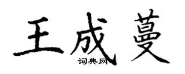 丁谦王成蔓楷书个性签名怎么写