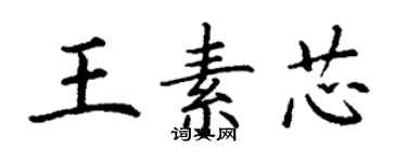 丁谦王素芯楷书个性签名怎么写