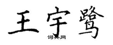 丁谦王宇鹭楷书个性签名怎么写