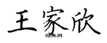 丁谦王家欣楷书个性签名怎么写