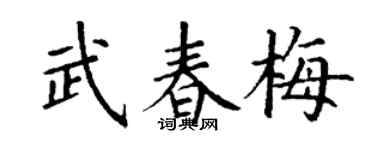 丁谦武春梅楷书个性签名怎么写
