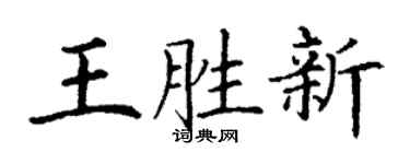 丁谦王胜新楷书个性签名怎么写