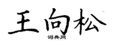 丁谦王向松楷书个性签名怎么写